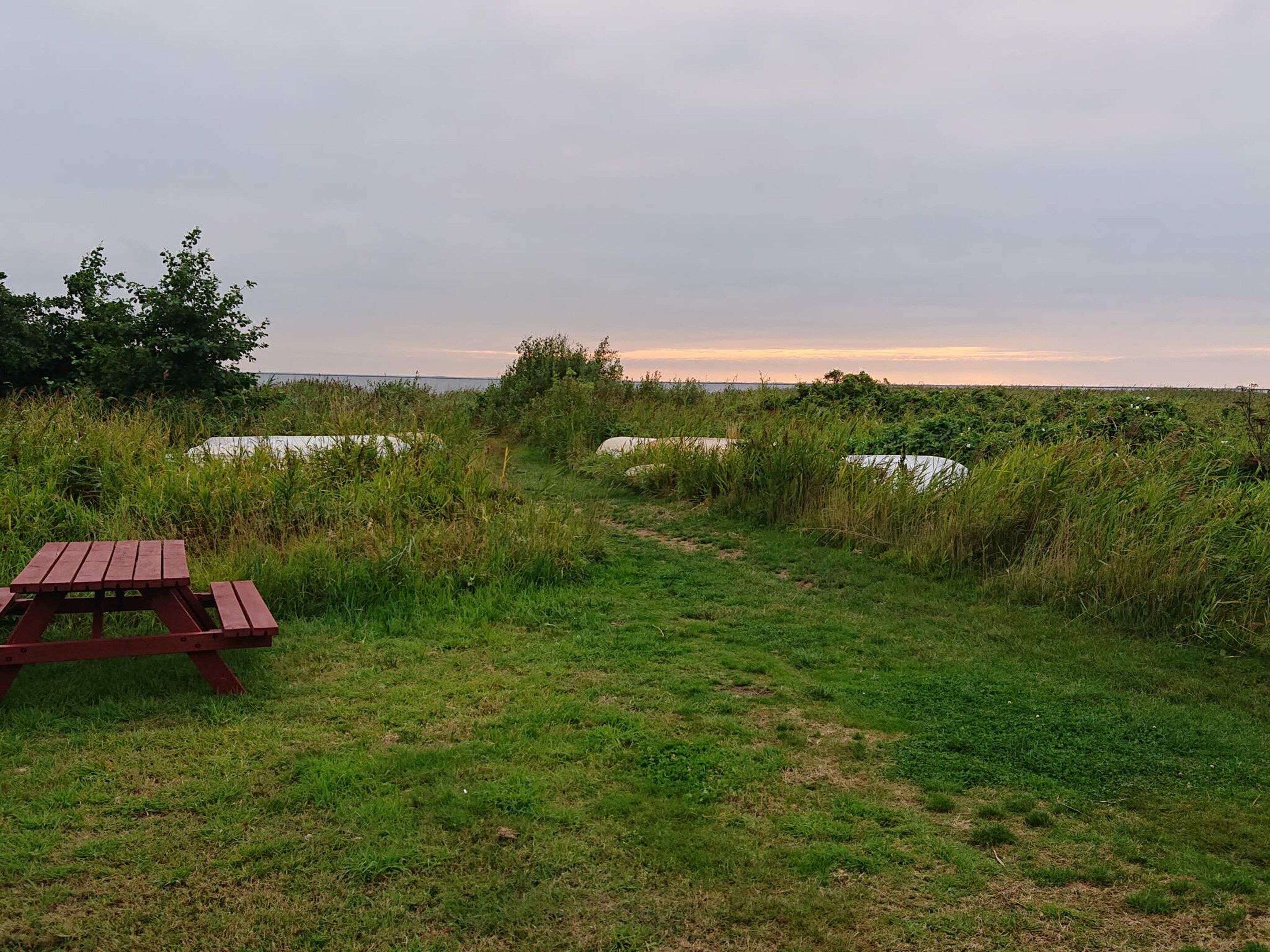Una mesa de picnic en un área con césped y vistas al agua.