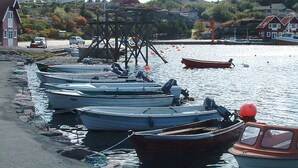 Una costa con varios barcos amarrados, un muelle de madera y casas al fondo.