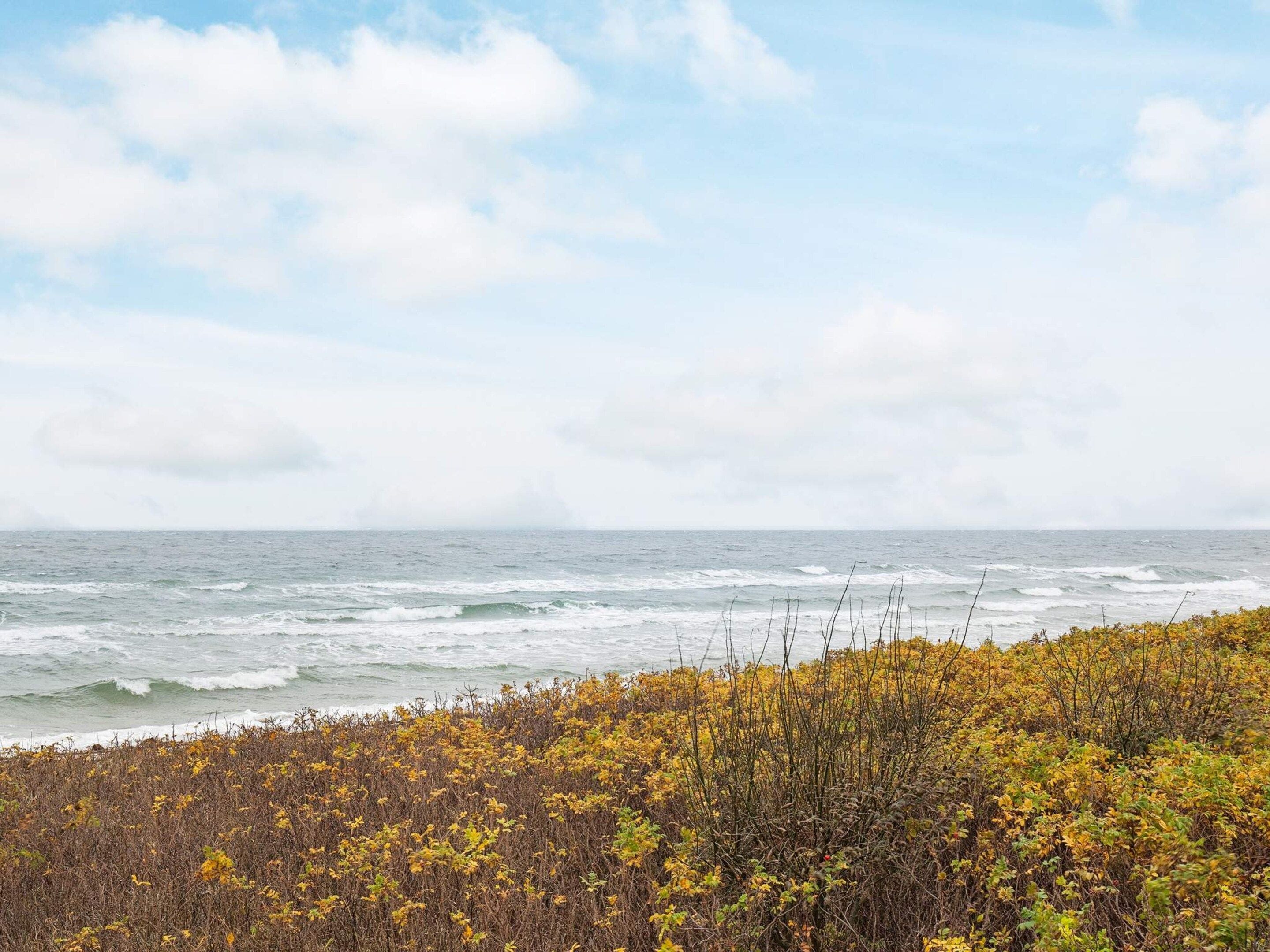 Eine Küstenlandschaft mit Blick auf das Meer und Herbstlaub.