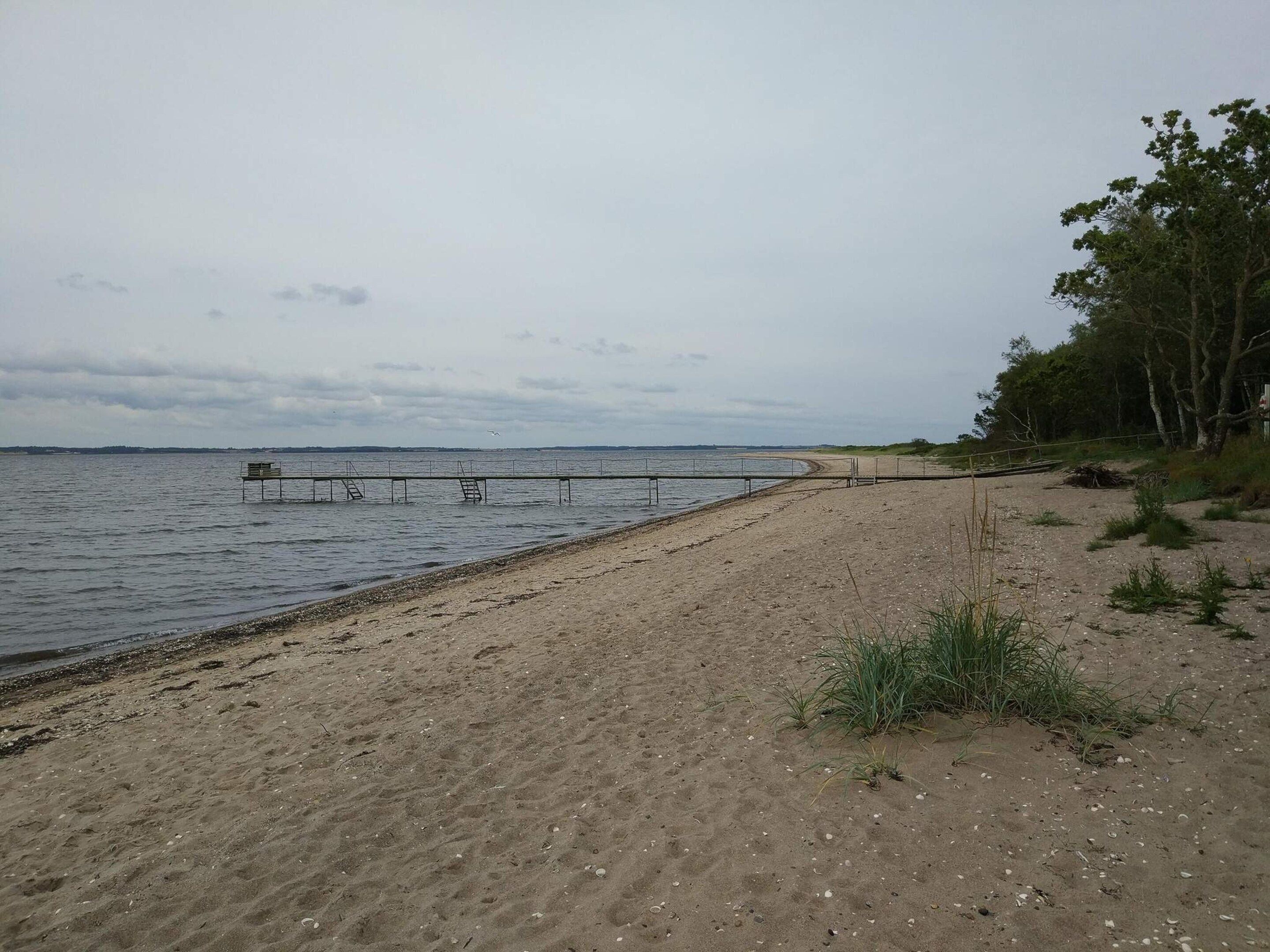 A sandy beach with a wooden pier extending into the water.