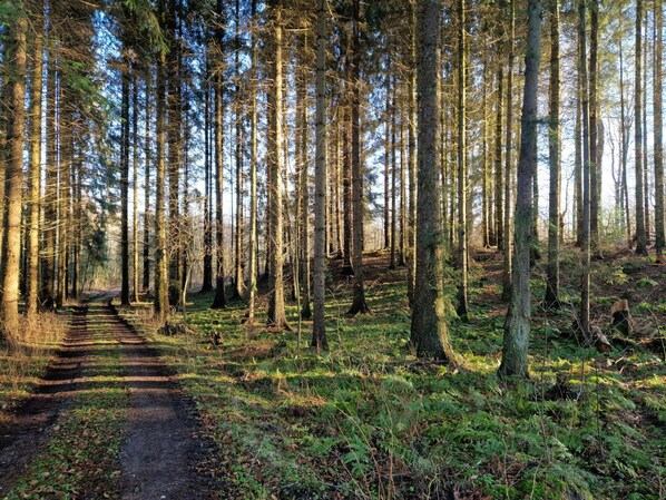 Miscellaneous - Seaside Haven With Spa - By Traum Ferienwohnungen (Bjert)