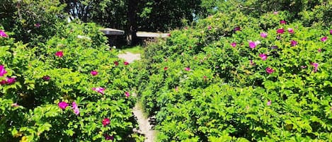 Casa | Jardines del alojamiento