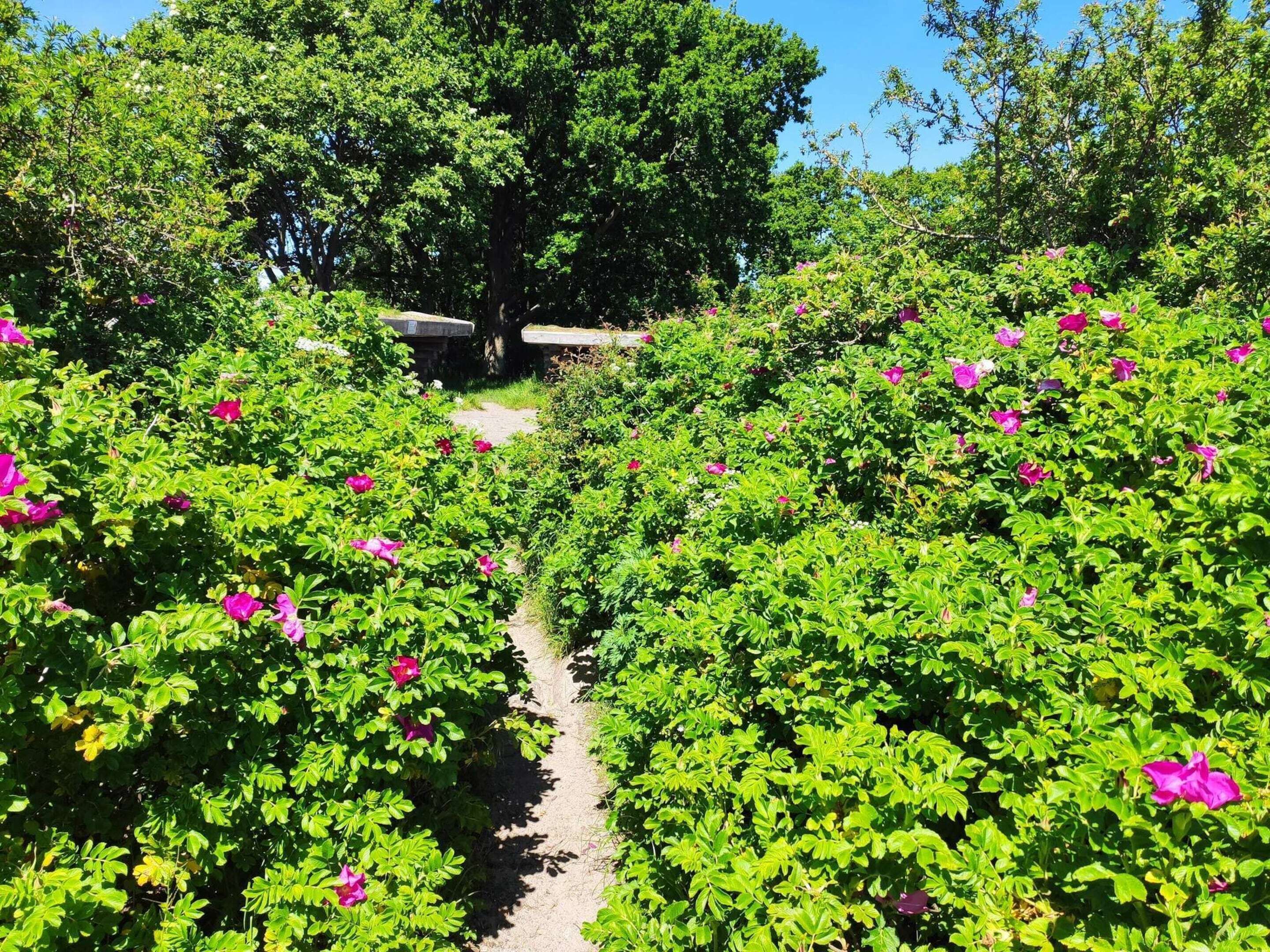 Casa | Jardines del alojamiento