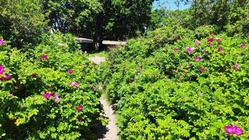 المنطقة المحيطة بالمنشأة