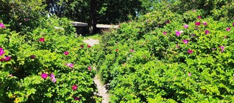 Seaside Haven With Spa - By Traum Ferienwohnungen