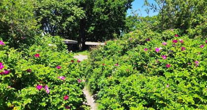 Seaside Haven With Spa - By Traum Ferienwohnungen