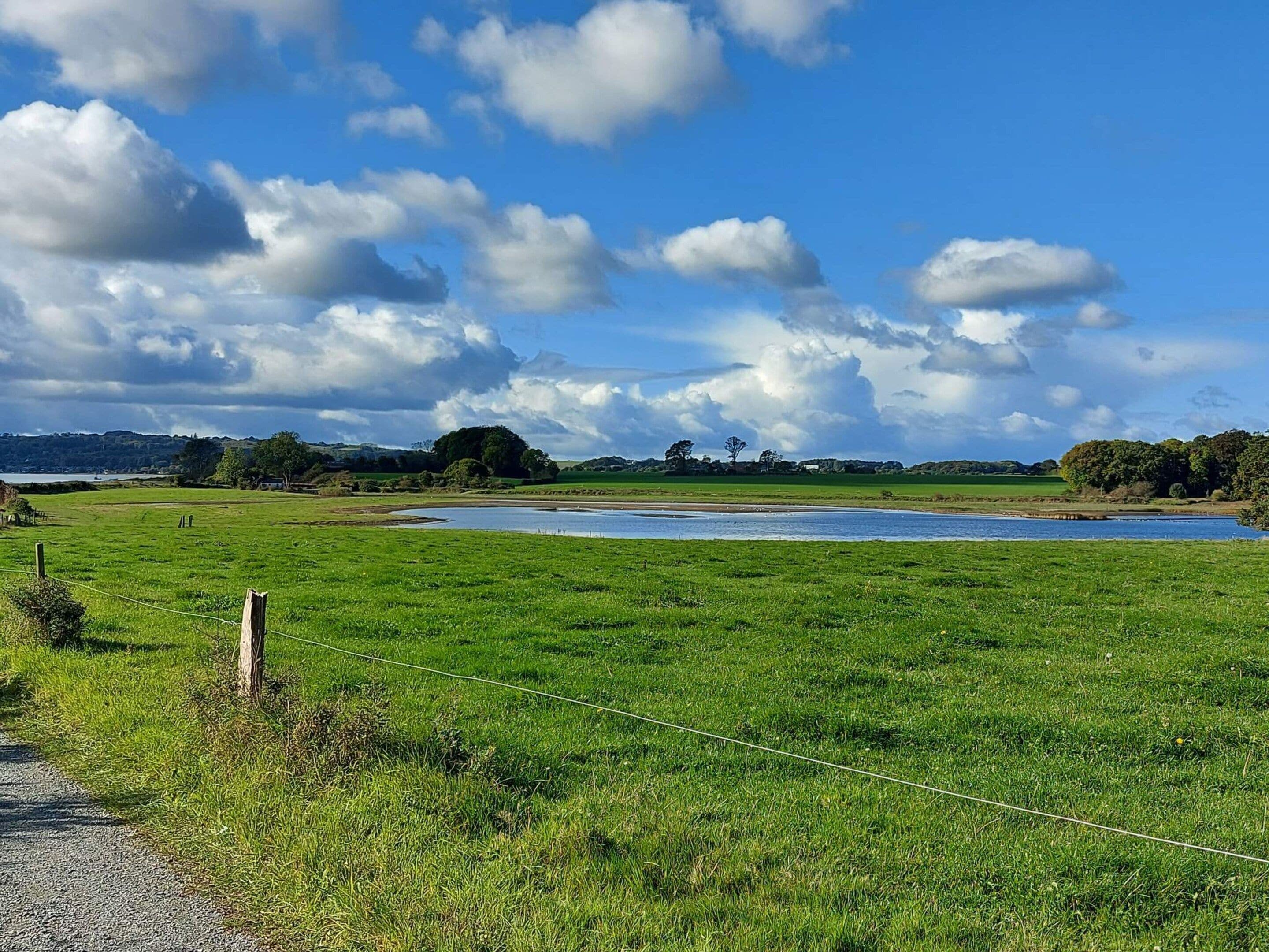 Un paisaje rural con un campo cubierto de hierba, una masa de agua y un cielo nublado.