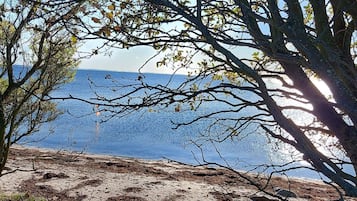 A beach with trees in the foreground and a clear view of the sea.