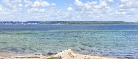 A beach with a wooden platform and a grassy area.