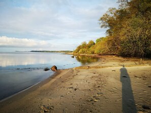 Een strand met een rustige zee, zandstrand en bomen.