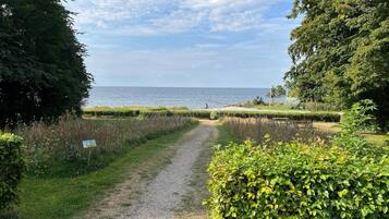 House | Property grounds