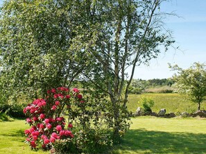 House | Property grounds