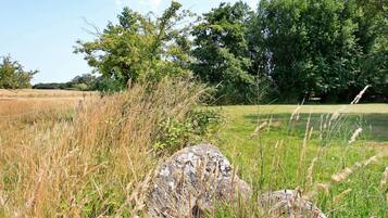 House | View from property