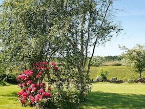 Ein Garten mit verschiedenen Bäumen und Sträuchern, darunter ein auffälliger Blühstrauch.