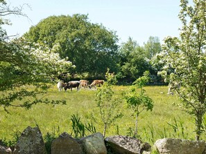 Miscellaneous - 6 Person Holiday Home in Humble-by Traum (Sydlangeland)