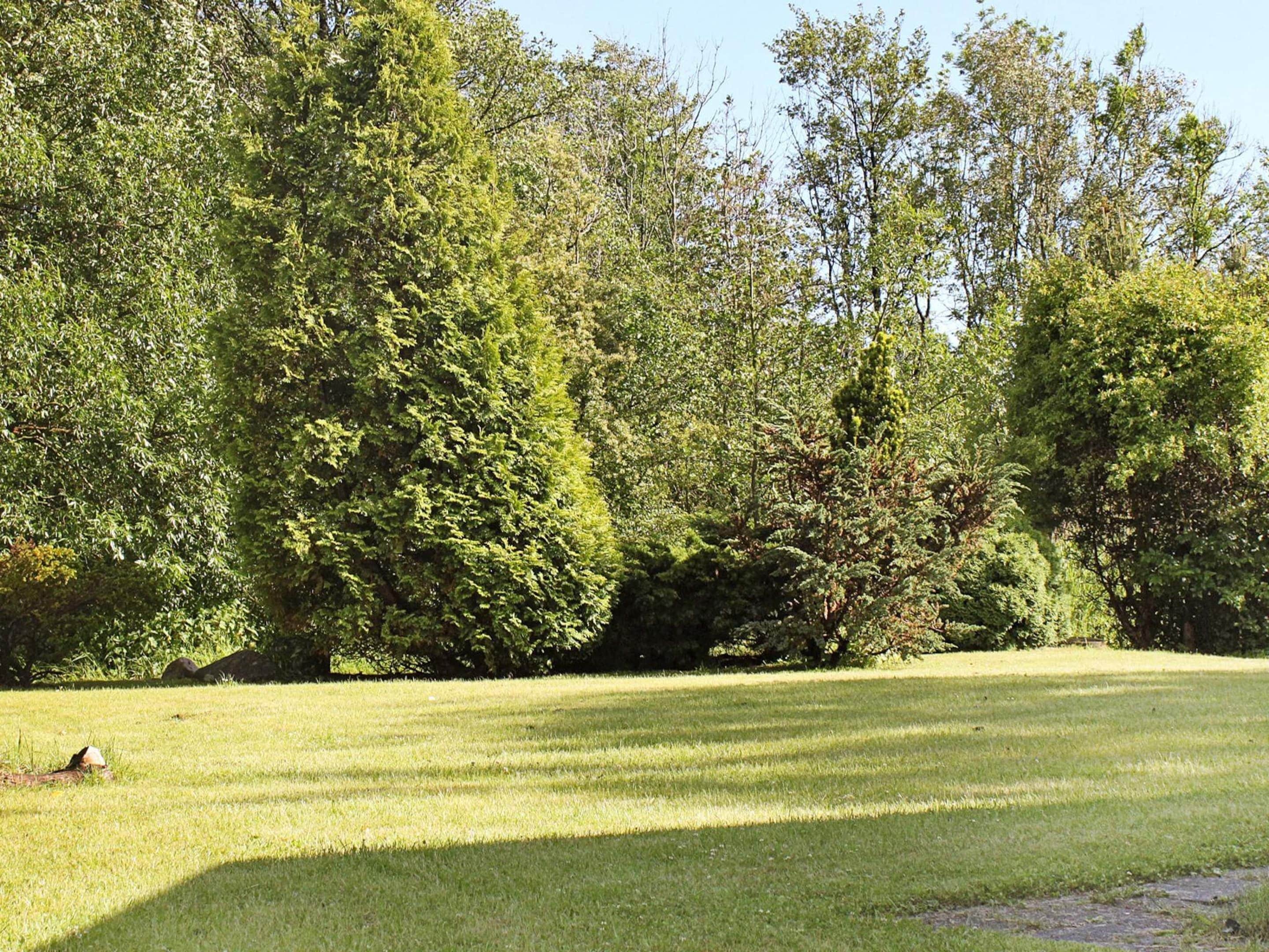 A grassy field with dense trees in the background.