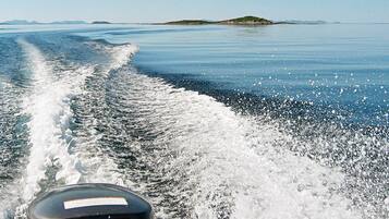 House | Miscellaneous