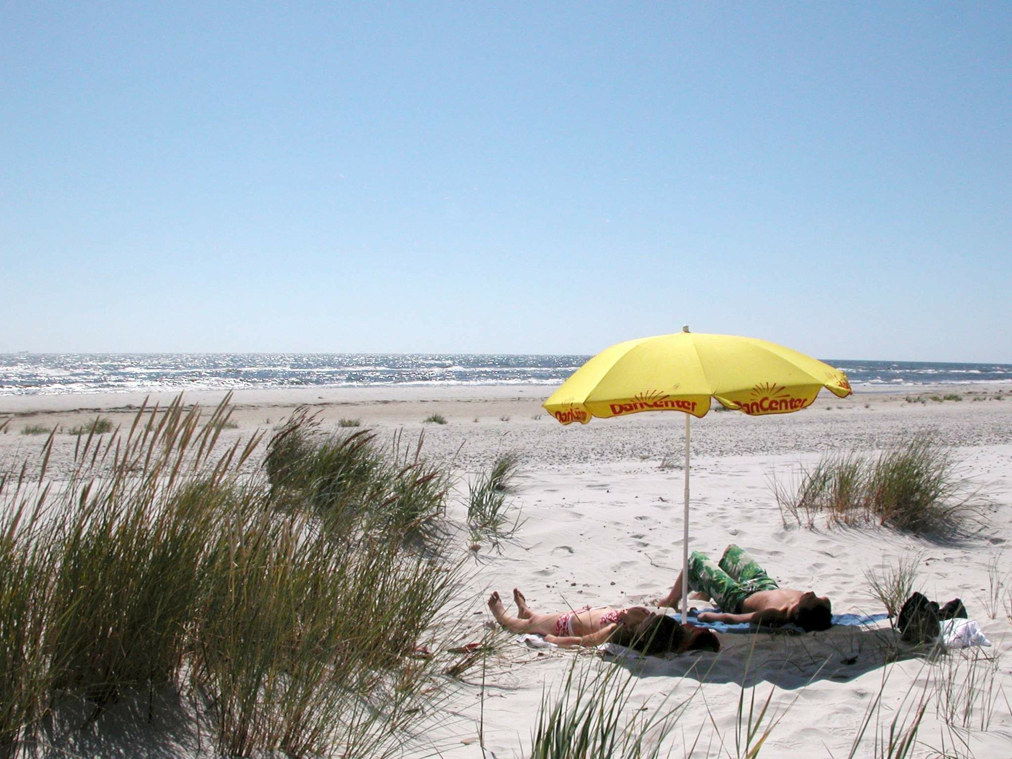 Strand