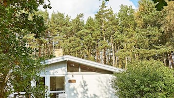 A cabin with a white exterior, surrounded by dense forest.