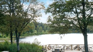En picnicplads ved søen med træbænke og borde.