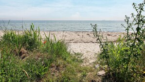 Una spiaggia con sabbia e mare, con un po' di vegetazione sullo sfondo.