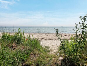 A beach with sand and sea, with some vegetation in the foreground. - 8 Person Holiday Home in Tranekaer (Tranekaer)