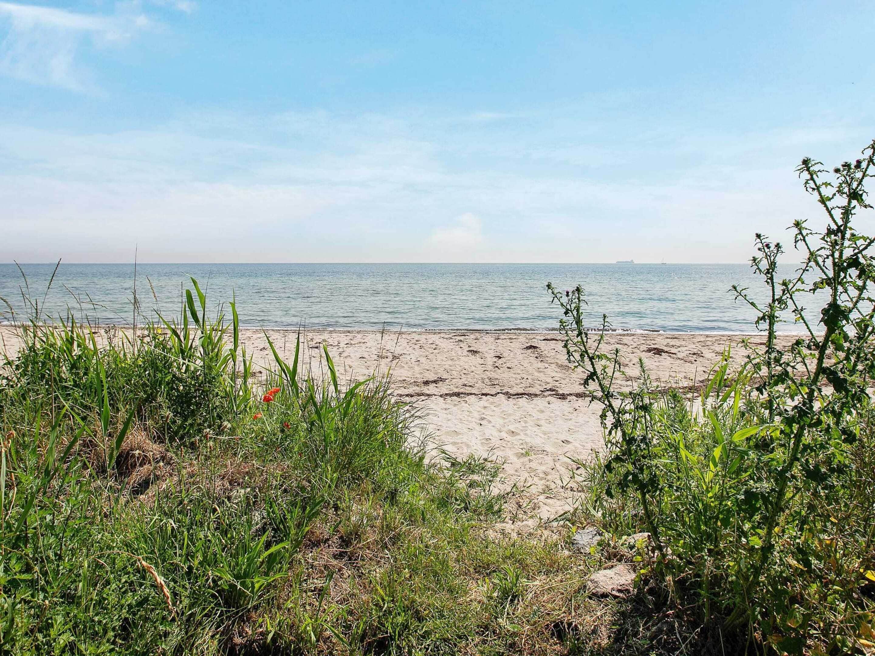 單棟房屋 | 水景