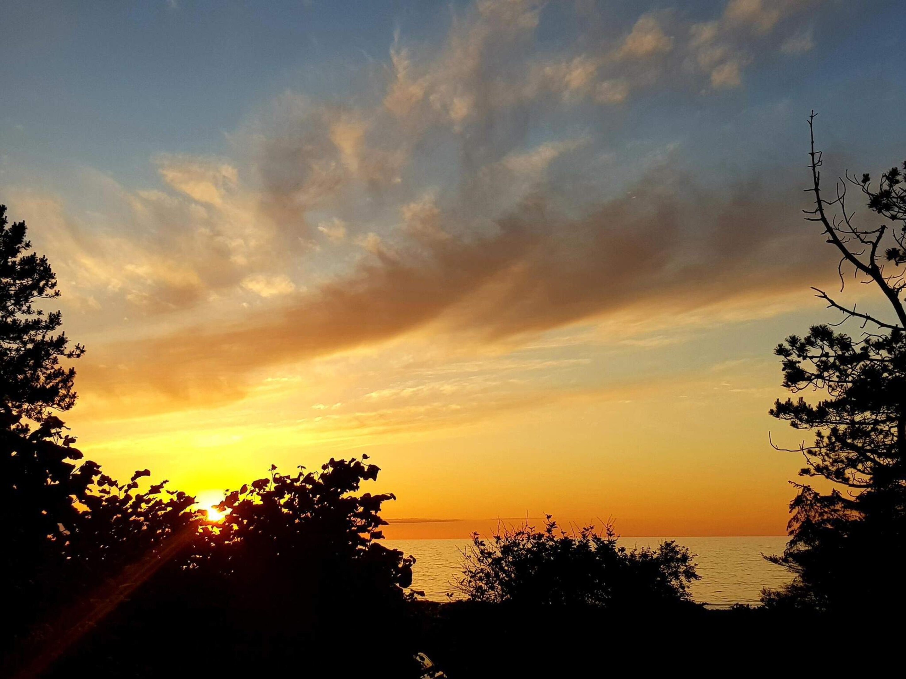 A sunset over a body of water with silhouettes of trees and a clear sky.