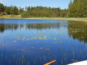 House | Miscellaneous - Holiday Home in Mellerud (Mellerud)