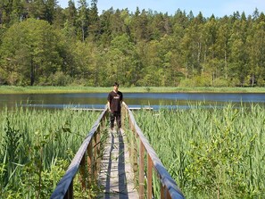 單棟房屋 | 其他設施