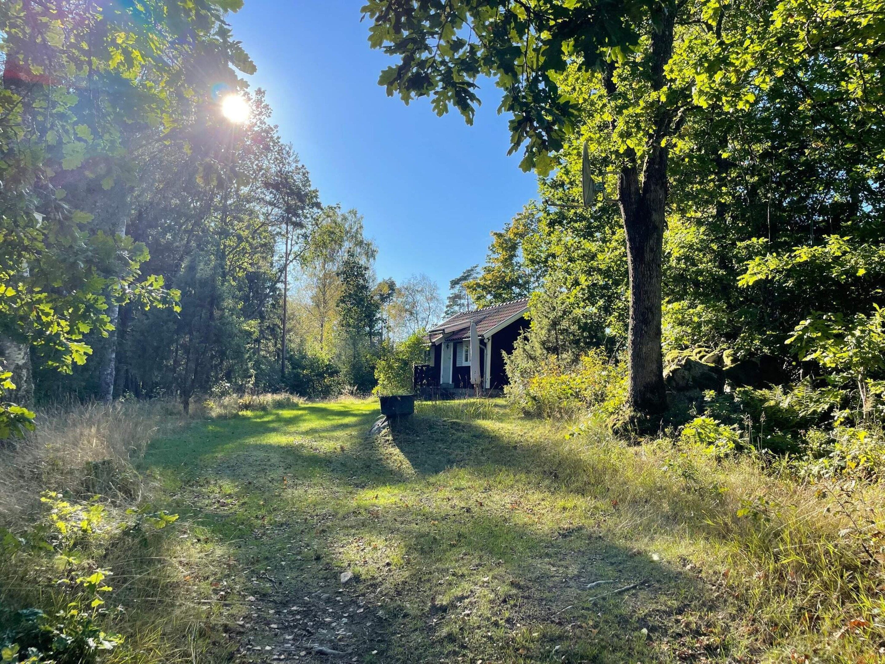 Uma cabana rústica rodeada por uma floresta densa, com um caminho bem definido que leva até ela.