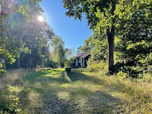 Uma cabana rústica rodeada por uma floresta densa, com um caminho bem definido que leva até ela.