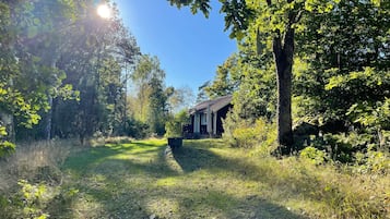 Una cabaña rústica rodeada de un bosque denso, con un sendero despejado que conduce hasta ella.