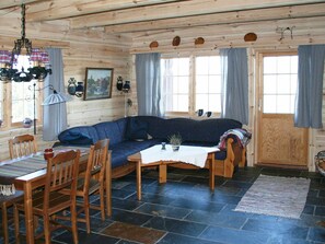 Fireplace, DVD player - Holiday Home in Åseral (Aseral)
