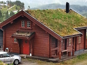 Exterior - Holiday Home in Åseral (Aseral)