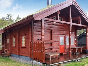 Exterior - Holiday Home in Åseral (Aseral)