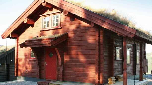House | Exterior - Holiday Home in Åseral (Aseral)