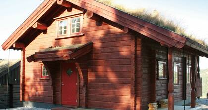 Holiday Home in Åseral