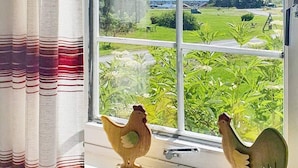 Ein Fenster mit Blick auf eine grüne Landschaft und ein Gewässer.