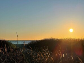 A sunset over a body of water with a grassy foreground. - 6 Person Holiday Home in Ebeltoft (Ebeltoft)