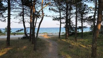 Un sendero arbolado que lleva a una playa con un banco y una mesa de picnic.