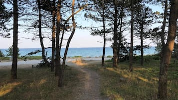 A forested path leading to a beach with a bench and a picnic table.