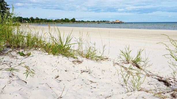 A beach with white sand, sparse vegetation, and a distant pier. - 6 Person Holiday Home in Kopingsvik (Kopingsvik)
