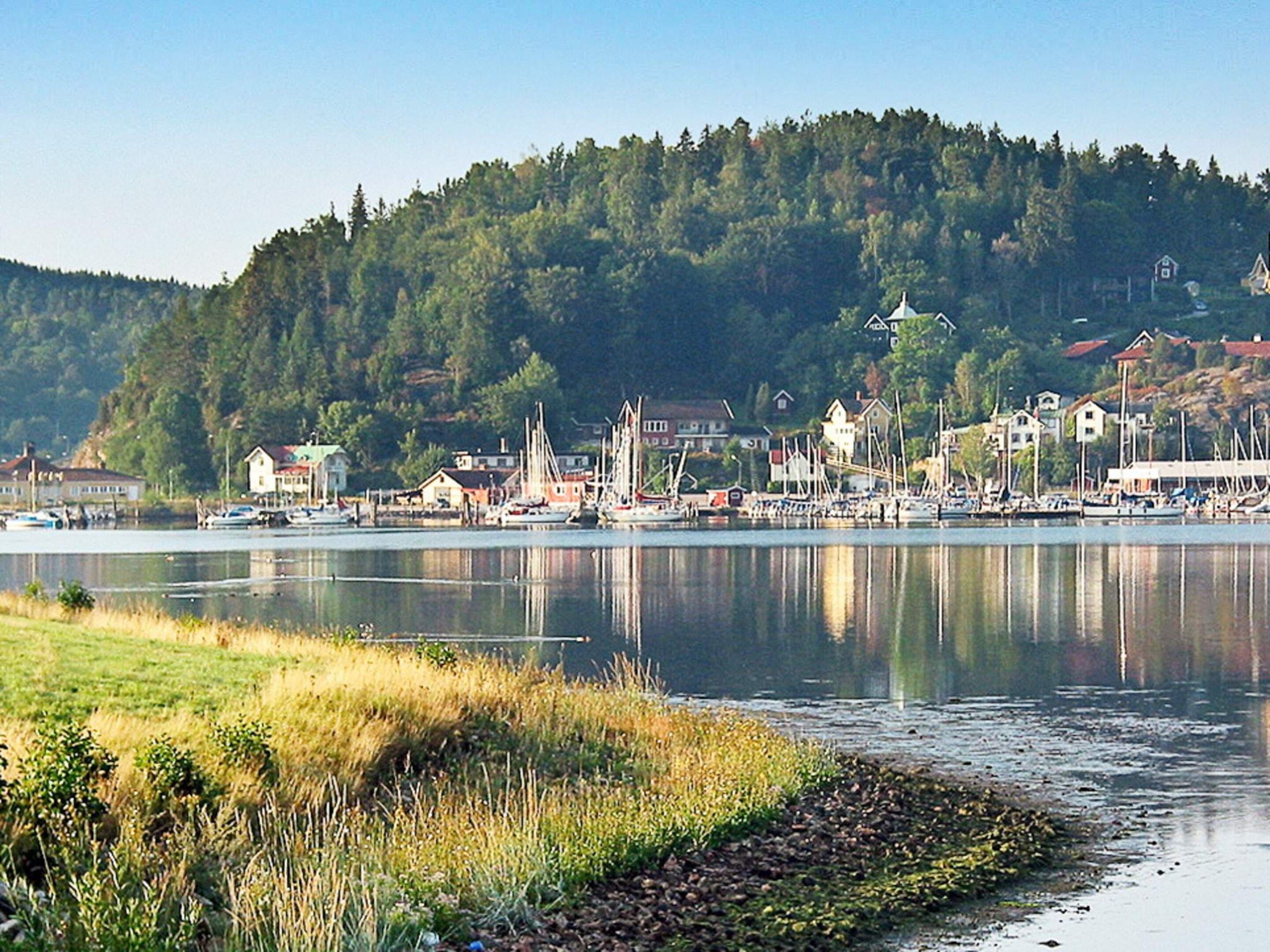 A lakeside town with houses, boats, and a forested hill in the background.