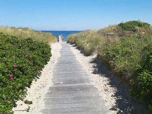 A pathway leading to a beach with a wooden boardwalk, surrounded by greenery and sand. - Charming Nordic Cottage - By Traum Ferienwohnungen (Jerup)