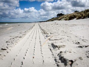 A sandy beach with tire tracks leading to the water, a clear sky, and dunes in the background. - 8 Person Holiday Home in Albaek (Jerup)