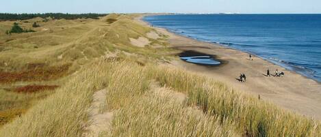 Vista desde la propiedad