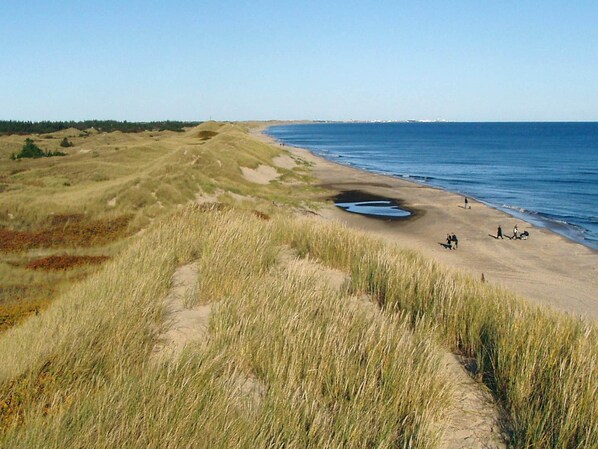Ferienhaus | Blick von der Unterkunft