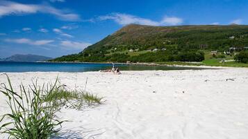 Huis | Strand | Vissen