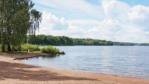 Vista de un lago con playa de arena, una mesa de picnic y un árbol.